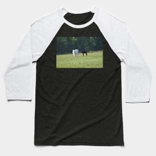 Wild Mare and Foal Baseball T-Shirt